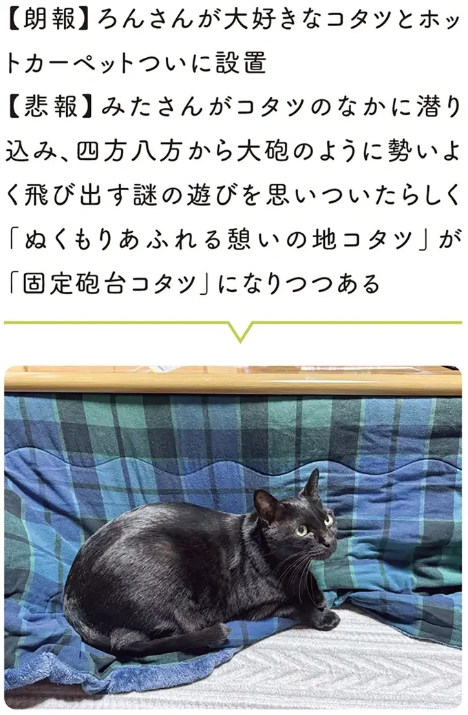 『黒猫ろんと暮らしたら』4～7（152）