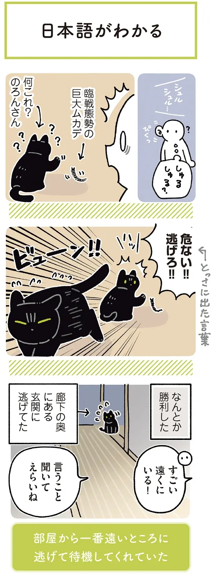 『黒猫ろんと暮らしたら』4～7（153）