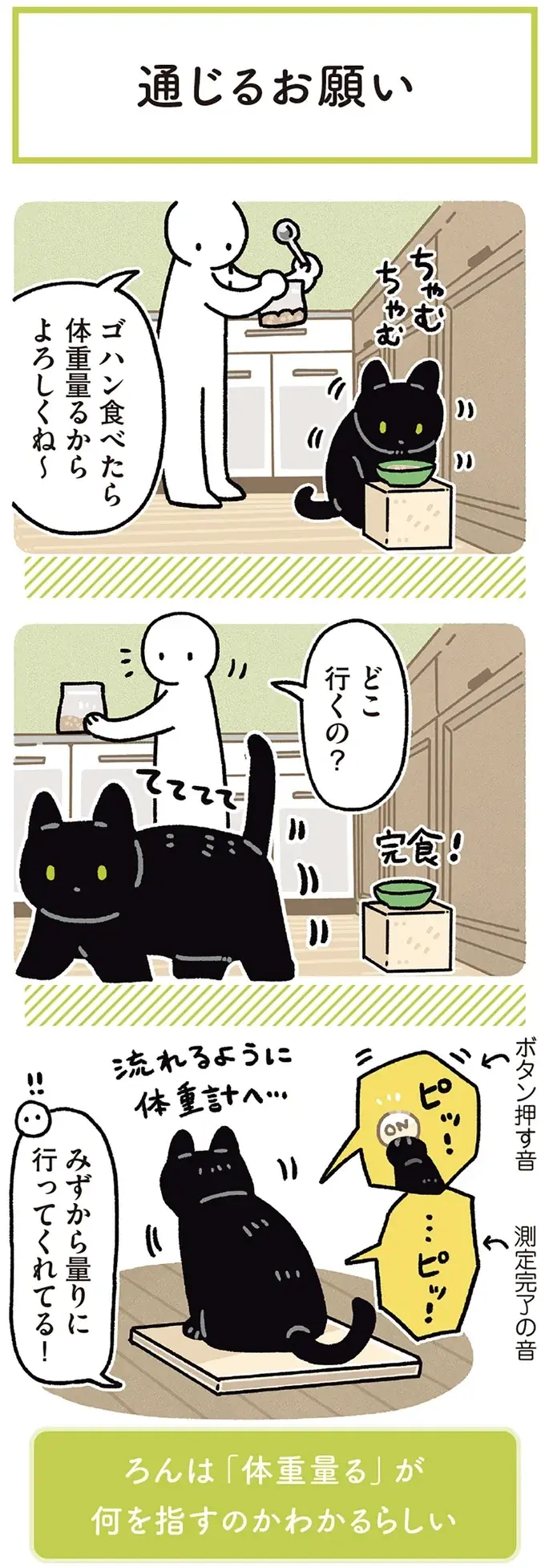 『黒猫ろんと暮らしたら』4～7（155）