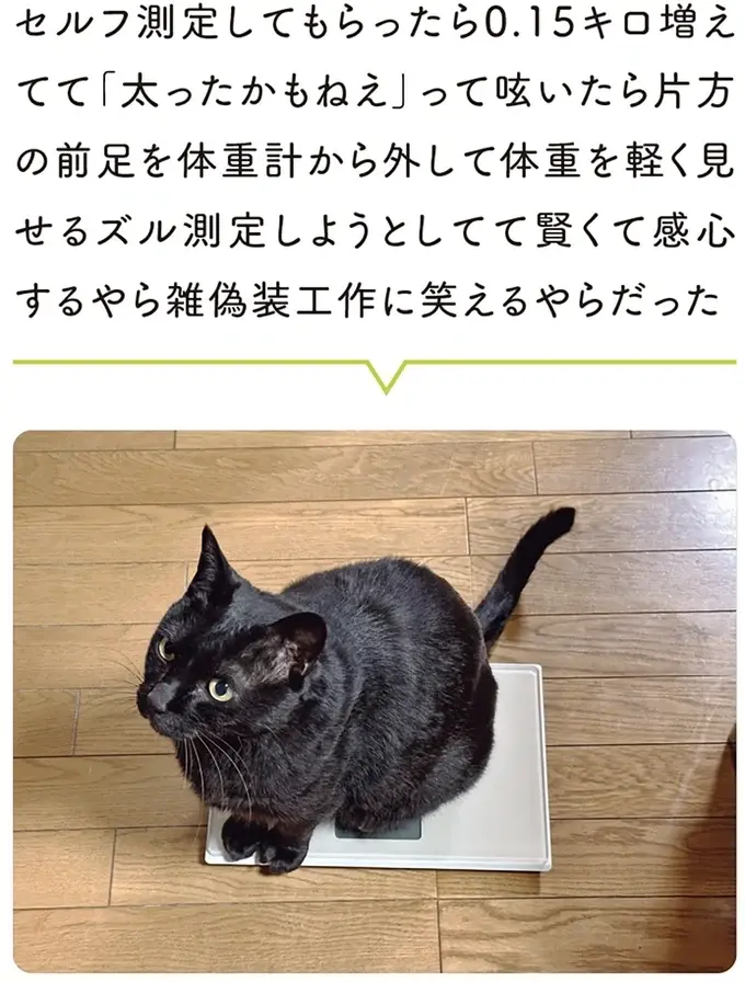 『黒猫ろんと暮らしたら』4～7（156）