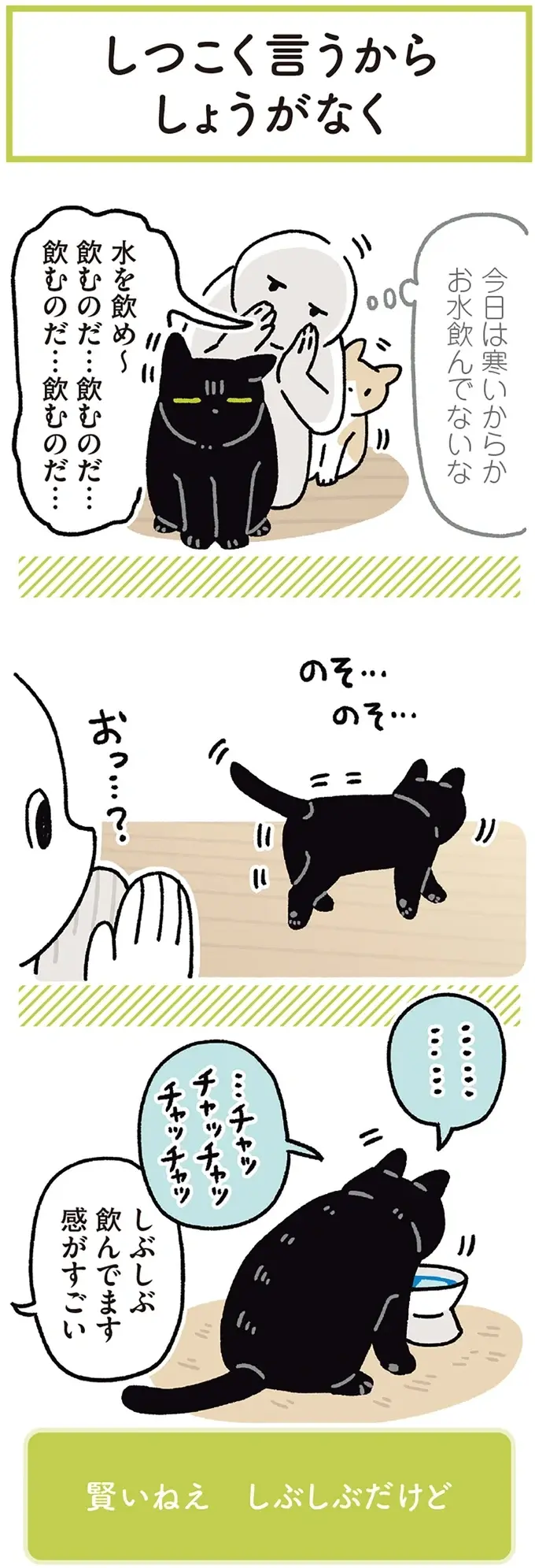 『黒猫ろんと暮らしたら』4～7（161）