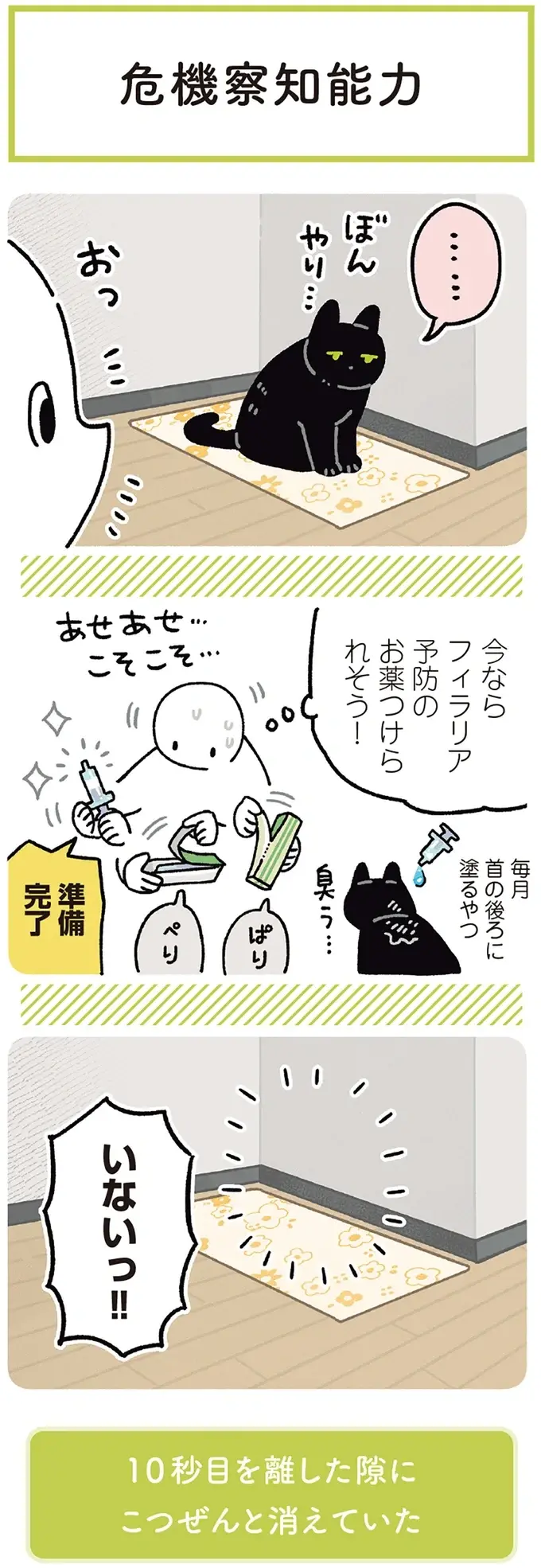 『黒猫ろんと暮らしたら』4～7（163）