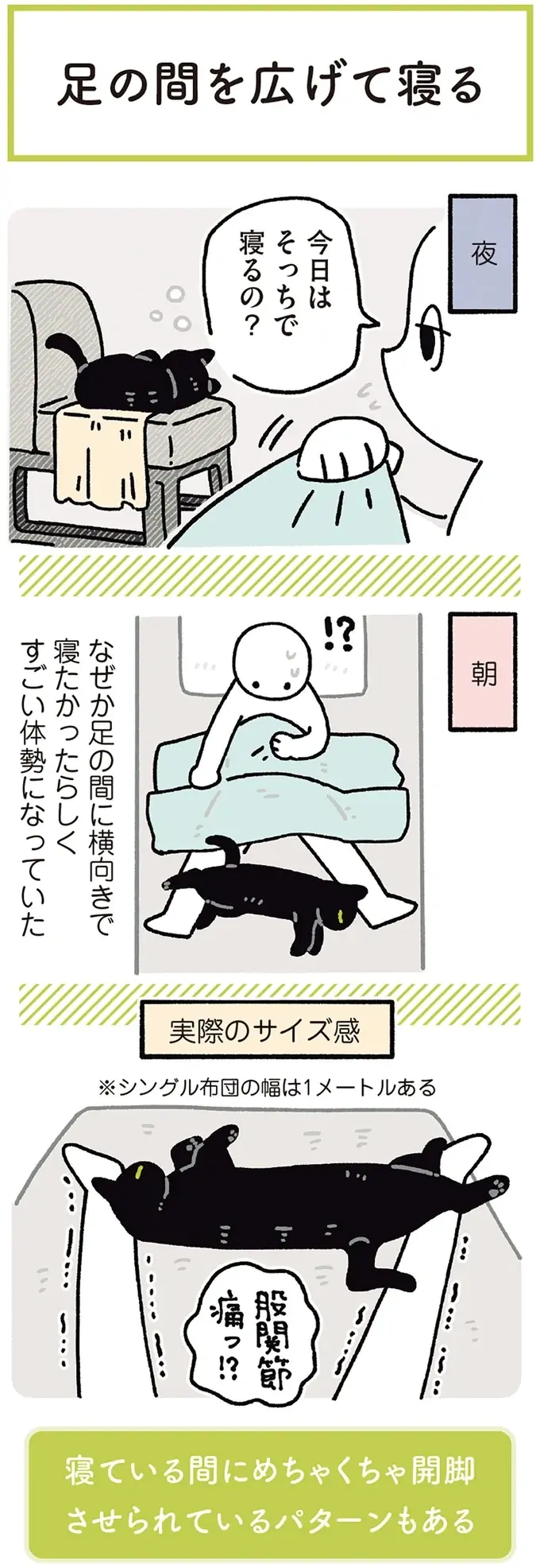 『黒猫ろんと暮らしたら』4～7（168）