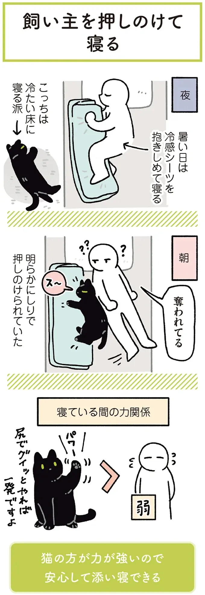 『黒猫ろんと暮らしたら』4～7（169）