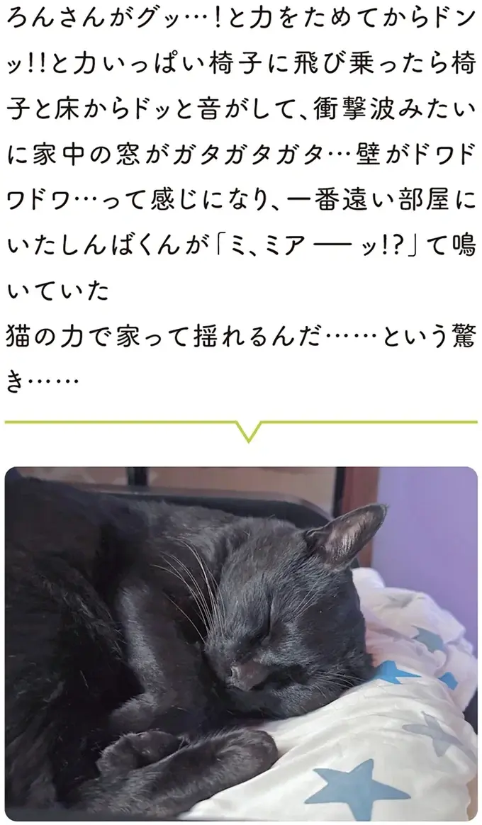 『黒猫ろんと暮らしたら』4～7（170）
