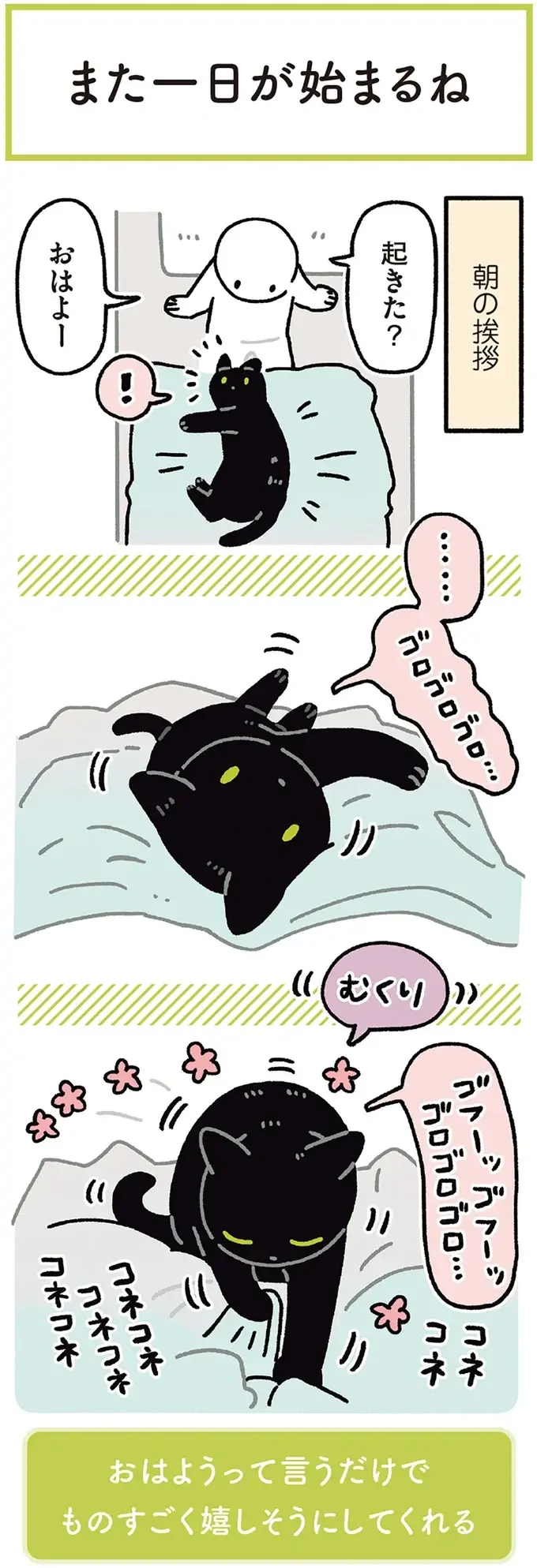 『黒猫ろんと暮らしたら』4～7（171）