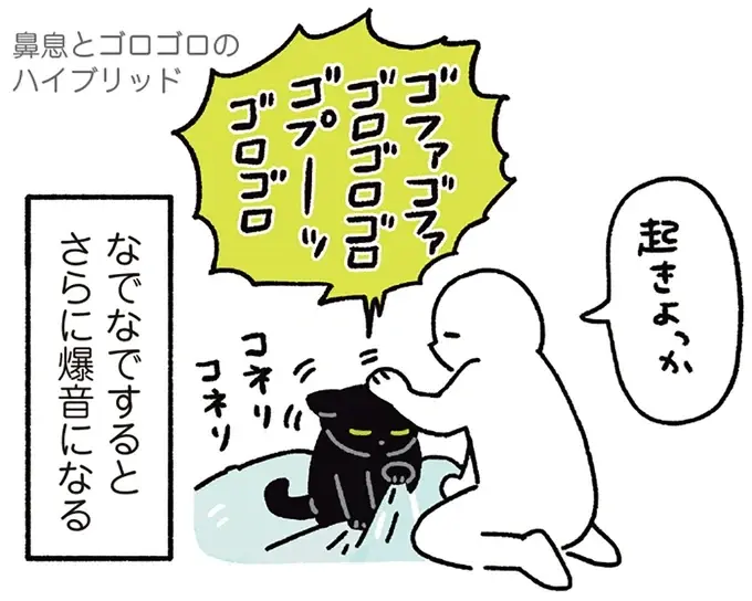 『黒猫ろんと暮らしたら』4～7（172）