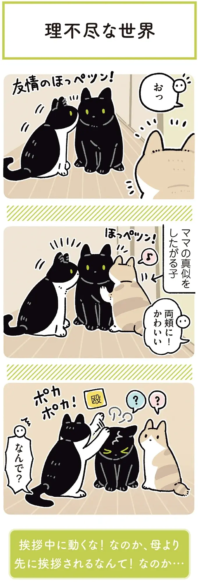 『黒猫ろんと暮らしたら』4～7（173）