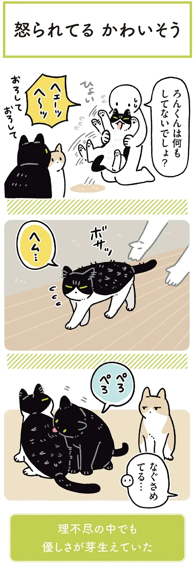 『黒猫ろんと暮らしたら』4～7（174）