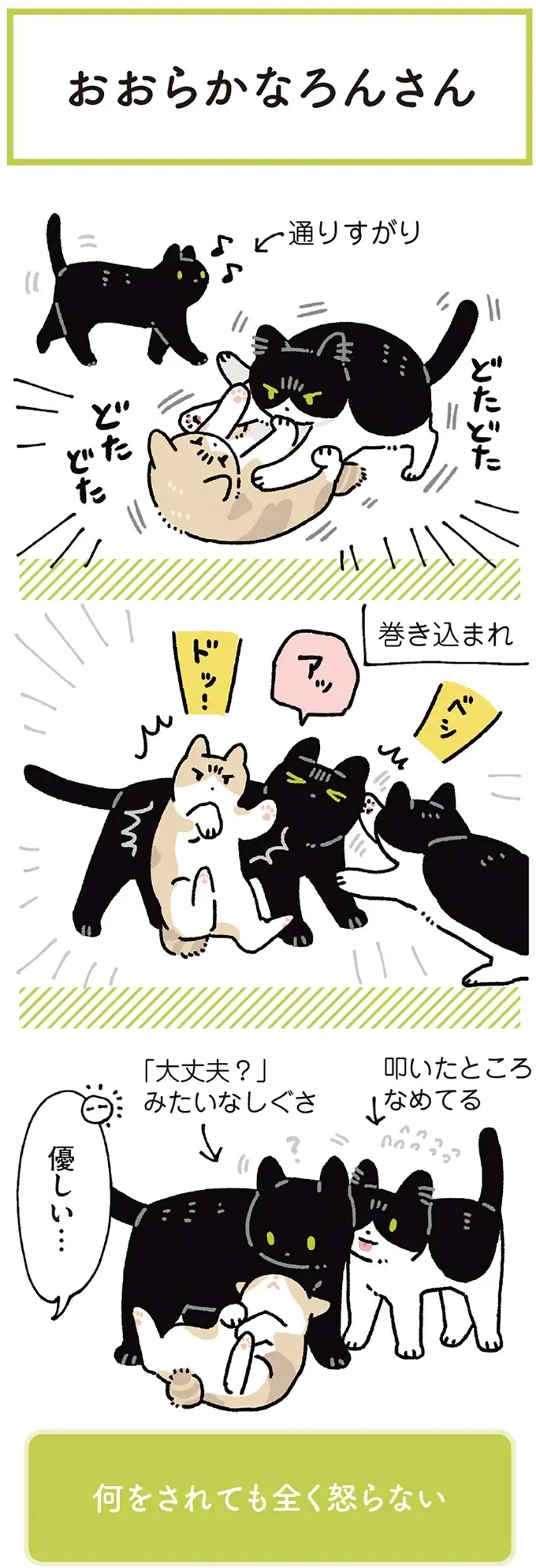 『黒猫ろんと暮らしたら』4～7（175）