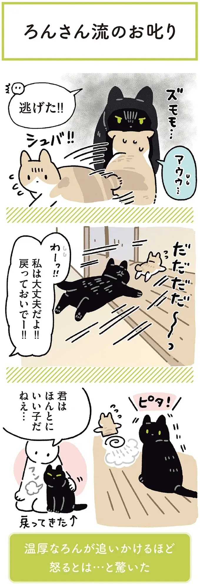 『黒猫ろんと暮らしたら』4～7（177）