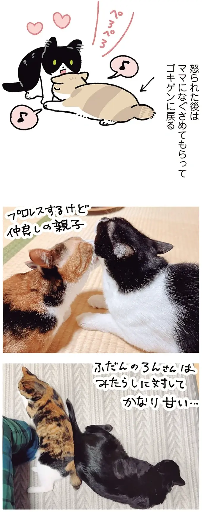 『黒猫ろんと暮らしたら』4～7（178）