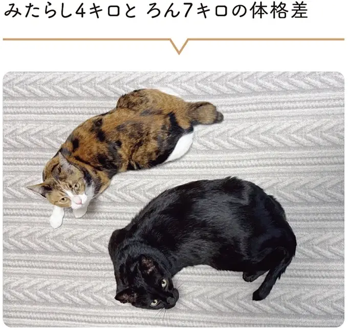 『黒猫ろんと暮らしたら』4～7（180）
