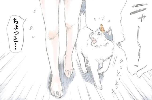 猫の逆切れ!? 自分で足にまとわりついてきた猫を踏んでしまったら／拾い猫のモチャ1（1）