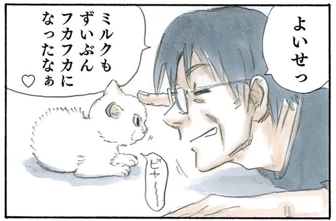 子猫が来てからお酒の付き合いが減った父。うれしそうな母が微笑ましくて／拾い猫のモチャ2（1）