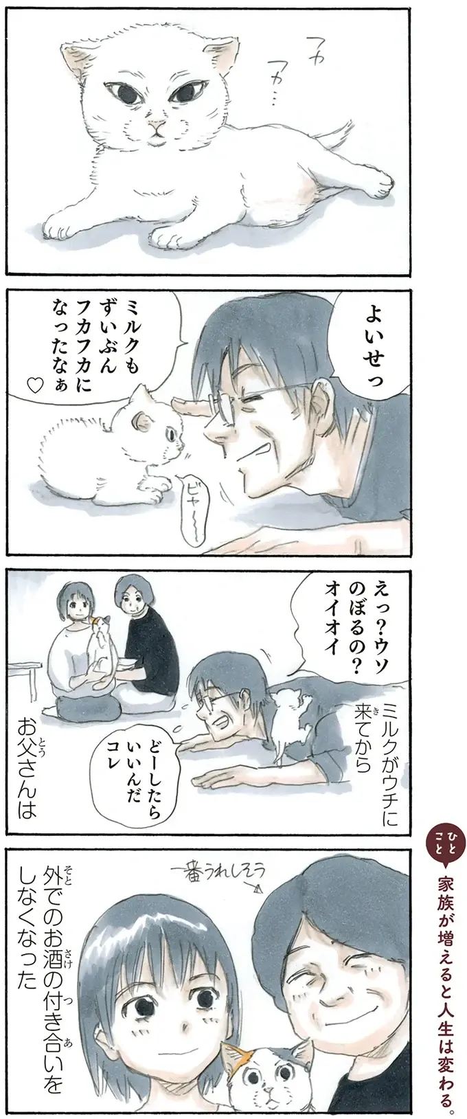 子猫が来てからお酒の付き合いが減った父。うれしそうな母が微笑ましくて／拾い猫のモチャ2（2）