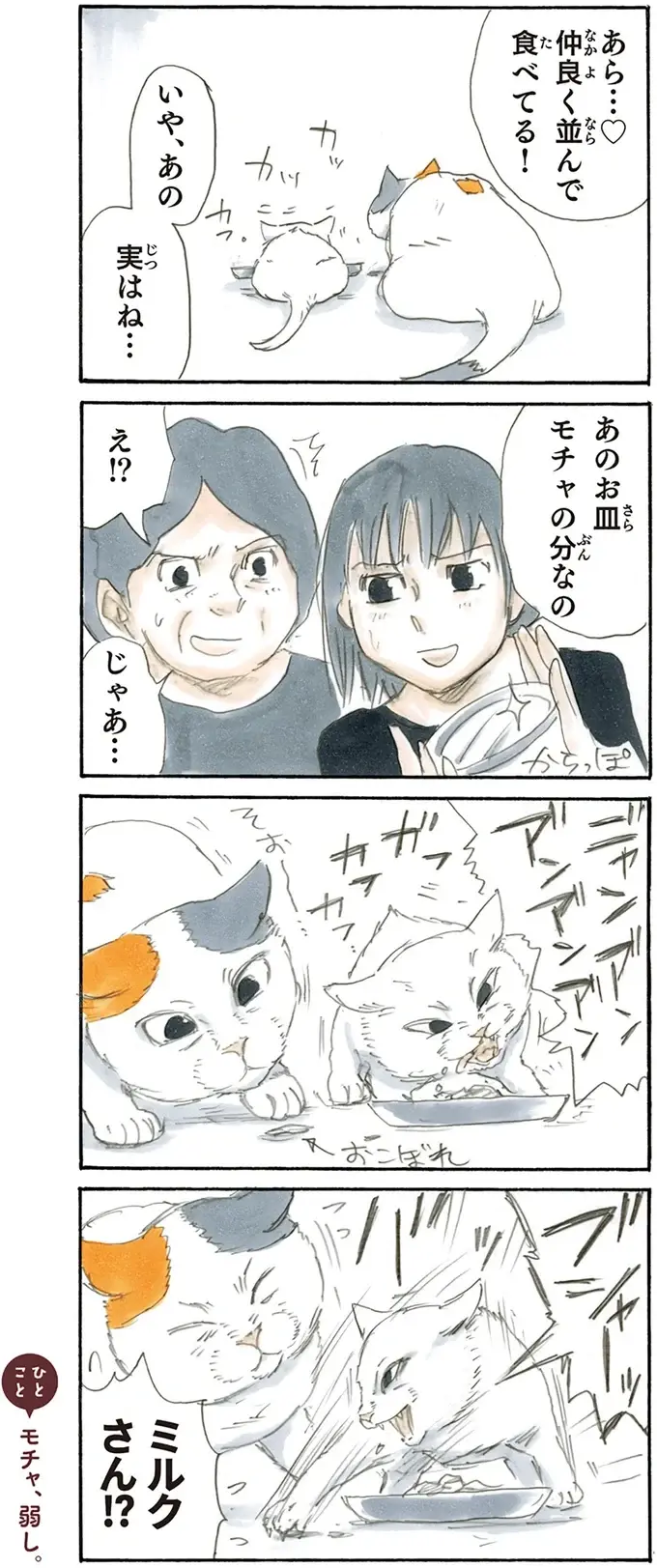 子猫が来てからお酒の付き合いが減った父。うれしそうな母が微笑ましくて／拾い猫のモチャ2（3）