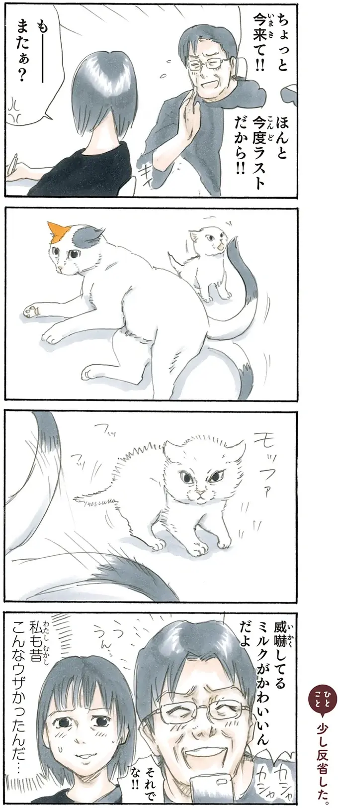 子猫が来てからお酒の付き合いが減った父。うれしそうな母が微笑ましくて／拾い猫のモチャ2（4）