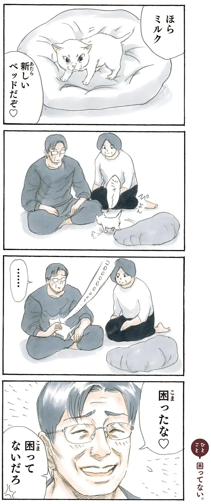 保護され、完全に家に馴染んだ子猫。新しいベッドを降りて寝床に選んだのは／拾い猫のモチャ2（2）