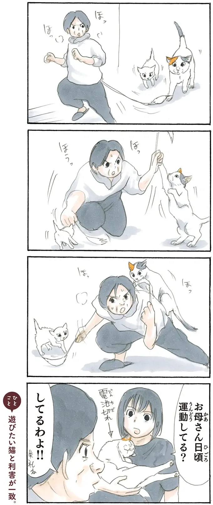 保護され、完全に家に馴染んだ子猫。新しいベッドを降りて寝床に選んだのは／拾い猫のモチャ2（4）