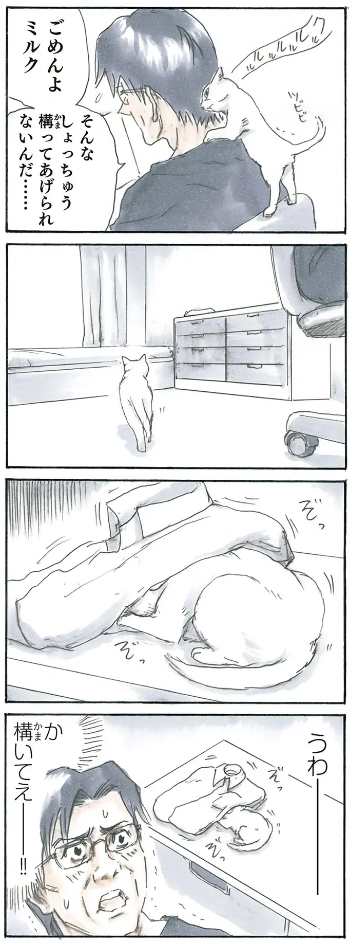 保護された子猫は父が大好き。構ってほしくてこんなことも...たまらない！／拾い猫のモチャ3（3）