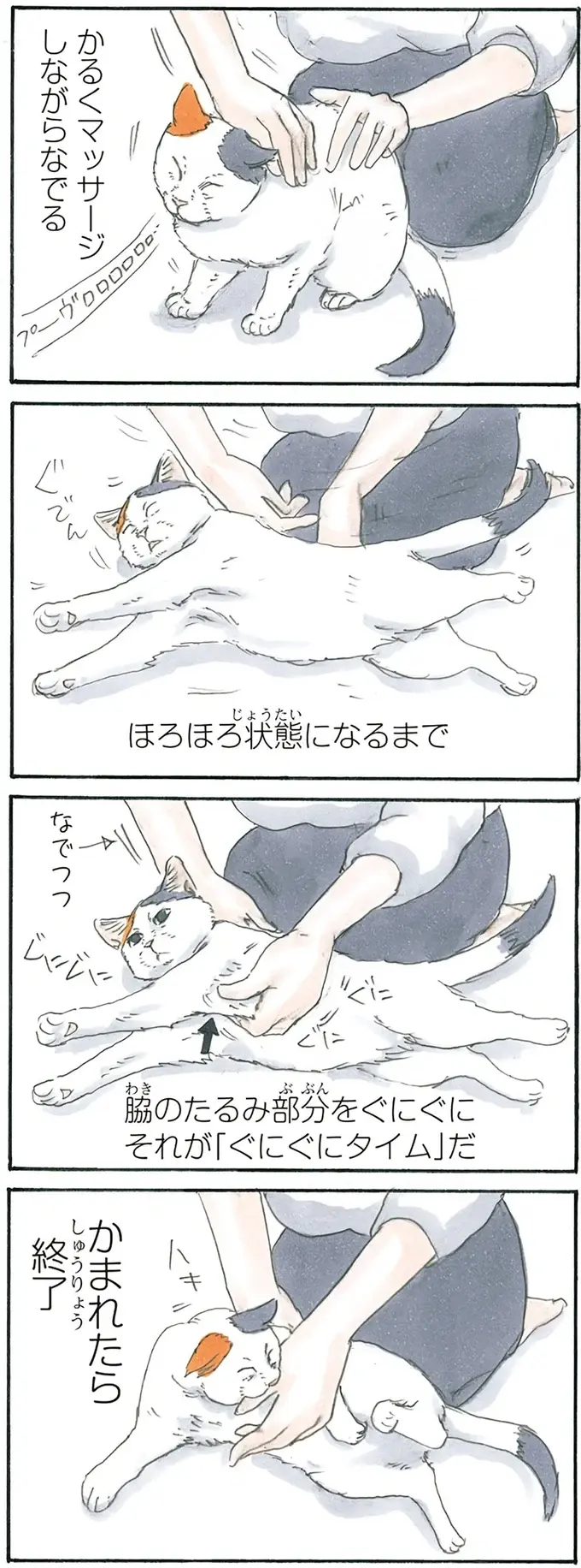 保護された子猫は父が大好き。構ってほしくてこんなことも...たまらない！／拾い猫のモチャ3（4）
