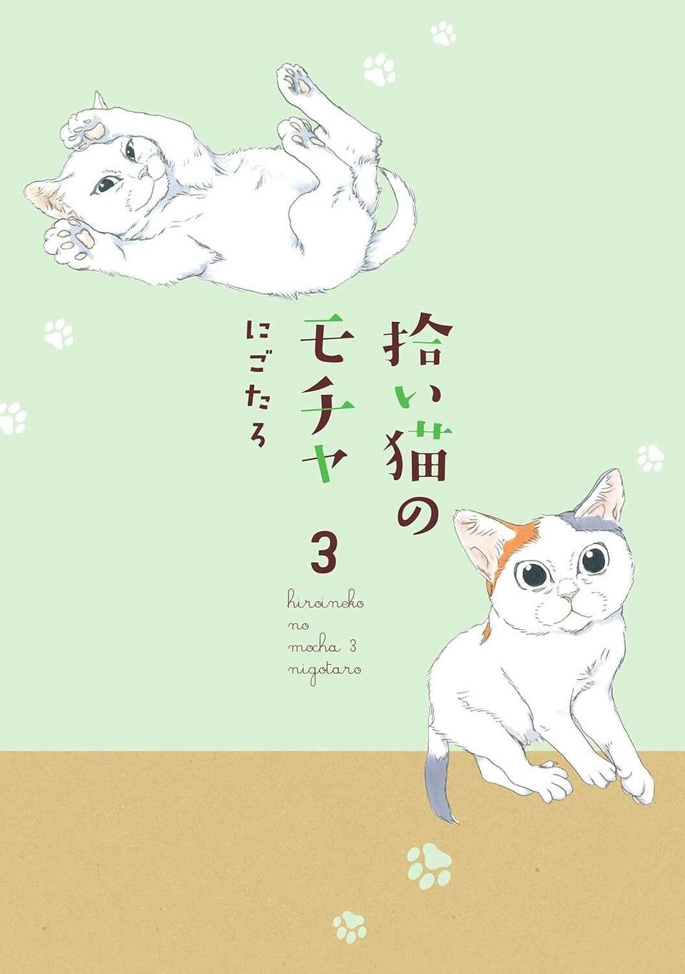 保護された子猫は父が大好き。構ってほしくてこんなことも...たまらない！／拾い猫のモチャ3（5）