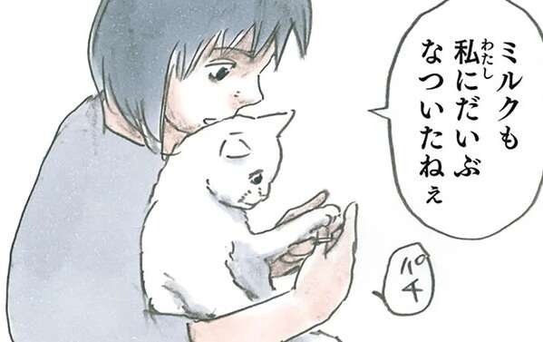 家族の中で「最も猫になつかれている」。となると、人はこうなりがち／拾い猫のモチャ4（1）