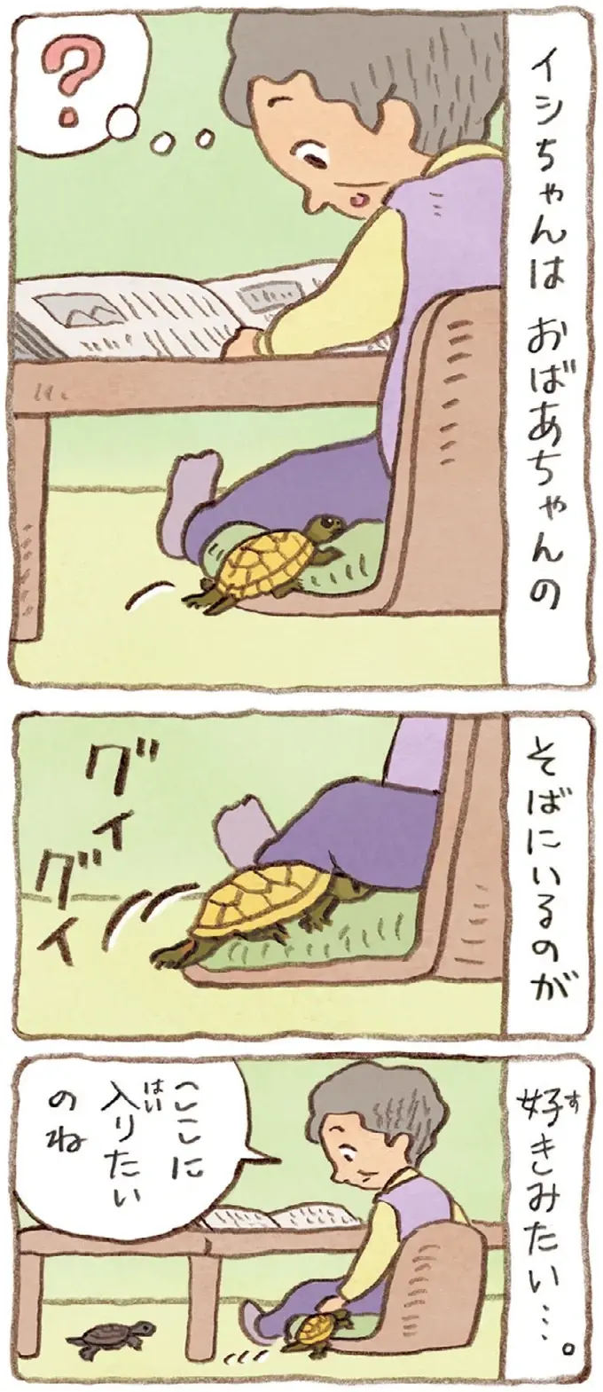 おばあちゃんのそばが好きだったり片思い中だったり。同じかめでも個性はそれぞれ／おばあちゃんとかめ（5）