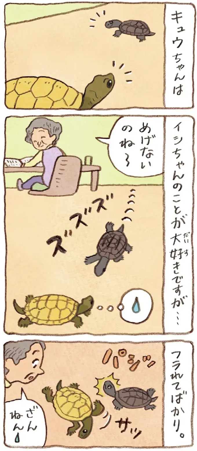 おばあちゃんのそばが好きだったり片思い中だったり。同じかめでも個性はそれぞれ／おばあちゃんとかめ（6）
