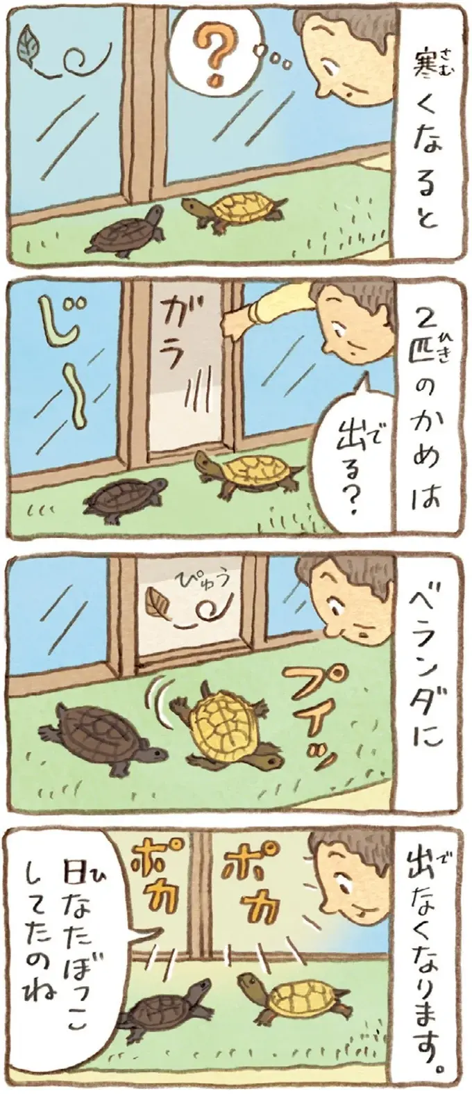 足音でどっちのかめか分かるおばあちゃん。今日は足音がしないと探してみたら？／おばあちゃんとかめ（3）
