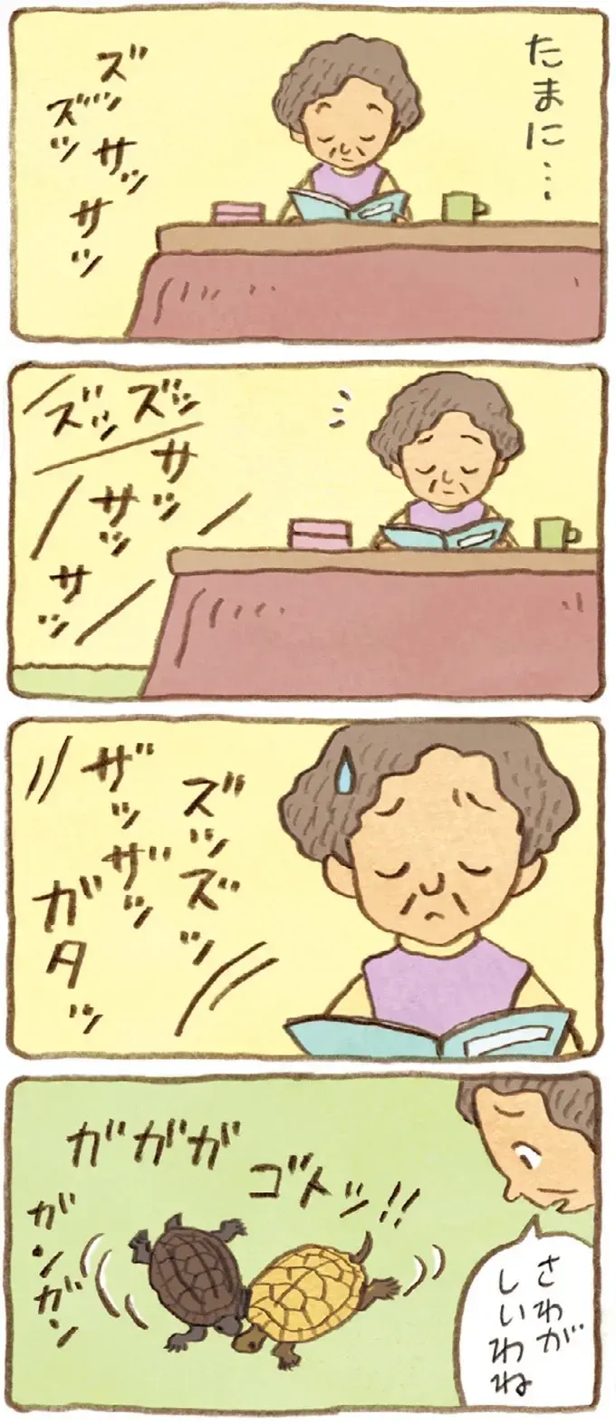足音でどっちのかめか分かるおばあちゃん。今日は足音がしないと探してみたら？／おばあちゃんとかめ（6）