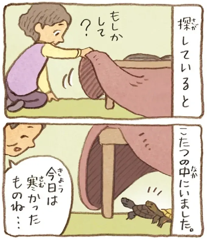 足音でどっちのかめか分かるおばあちゃん。今日は足音がしないと探してみたら？／おばあちゃんとかめ（9）