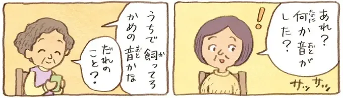 今日は50年来の友だちと女子会！ かめたちを見つけた友人の反応は？／おばあちゃんとかめ（1）