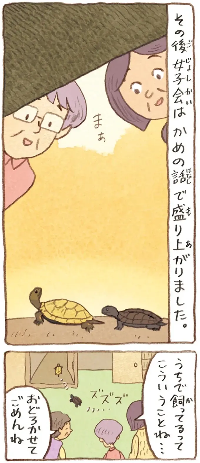 今日は50年来の友だちと女子会！ かめたちを見つけた友人の反応は？／おばあちゃんとかめ（7）