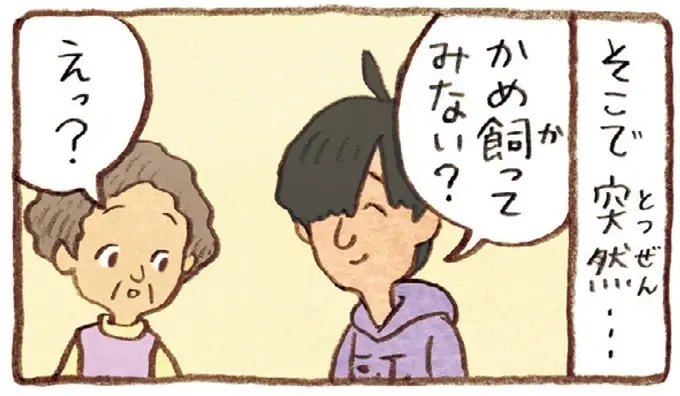 息子がくれた二匹の子がめ。仕事を引退した夫と一緒に「飼ってみようか」／おばあちゃんとかめ（1）