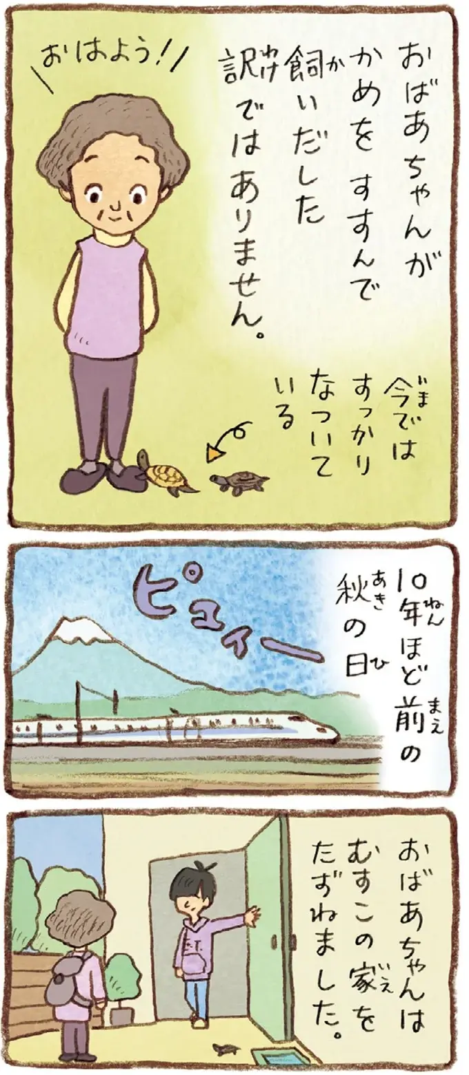 息子がくれた二匹の子がめ。仕事を引退した夫と一緒に「飼ってみようか」／おばあちゃんとかめ（3）