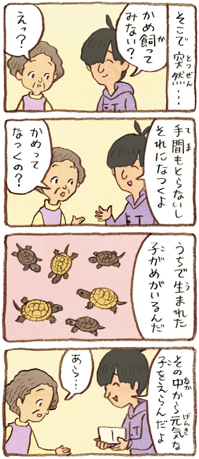 息子がくれた二匹の子がめ。仕事を引退した夫と一緒に「飼ってみようか」／おばあちゃんとかめ（4）