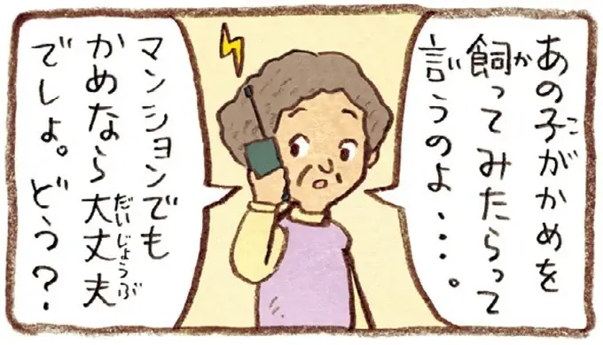 息子がくれた二匹の子がめ。仕事を引退した夫と一緒に「飼ってみようか」／おばあちゃんとかめ（7）