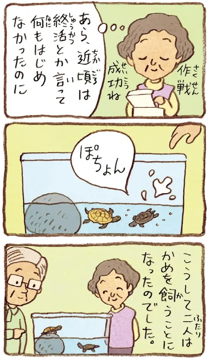 息子がくれた二匹の子がめ。仕事を引退した夫と一緒に「飼ってみようか」／おばあちゃんとかめ（10）
