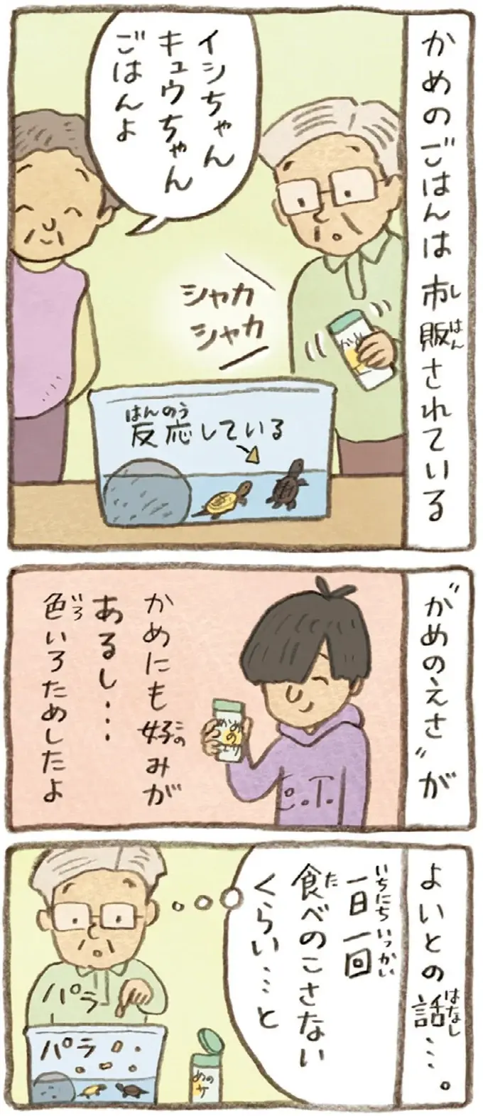 2匹とも食べてはいるけれど。おばあちゃんがかめの餌やりで気付いたこと／おばあちゃんとかめ（3）