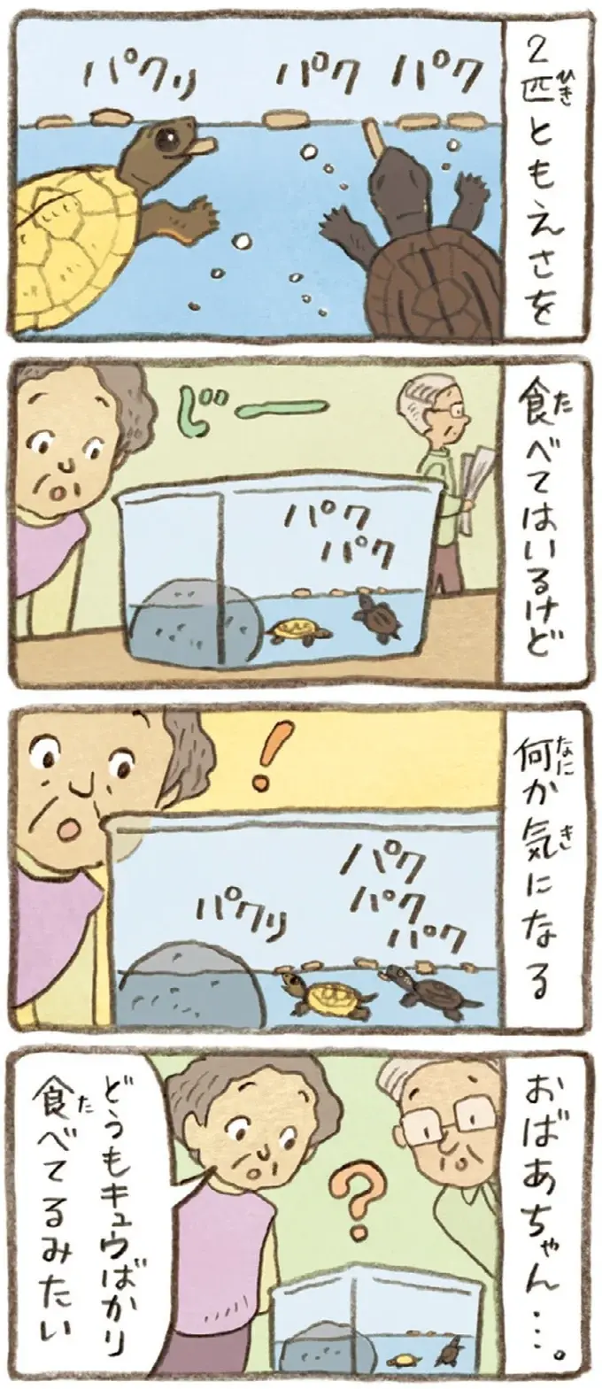 2匹とも食べてはいるけれど。おばあちゃんがかめの餌やりで気付いたこと／おばあちゃんとかめ（4）
