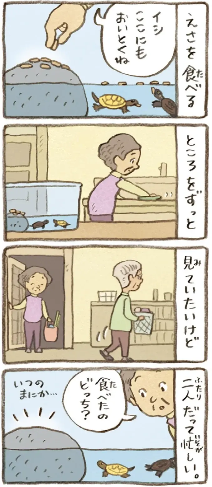 2匹とも食べてはいるけれど。おばあちゃんがかめの餌やりで気付いたこと／おばあちゃんとかめ（5）