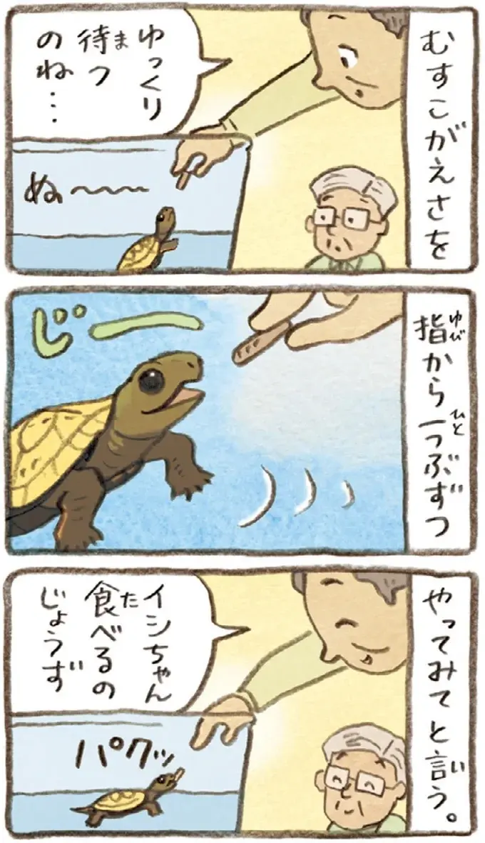 2匹とも食べてはいるけれど。おばあちゃんがかめの餌やりで気付いたこと／おばあちゃんとかめ（8）