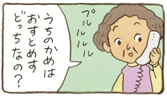 うちのかめは雄なの？雌なの？成長を見守る2人の疑問に息子が教えてくれたのは／おばあちゃんとかめ（1）