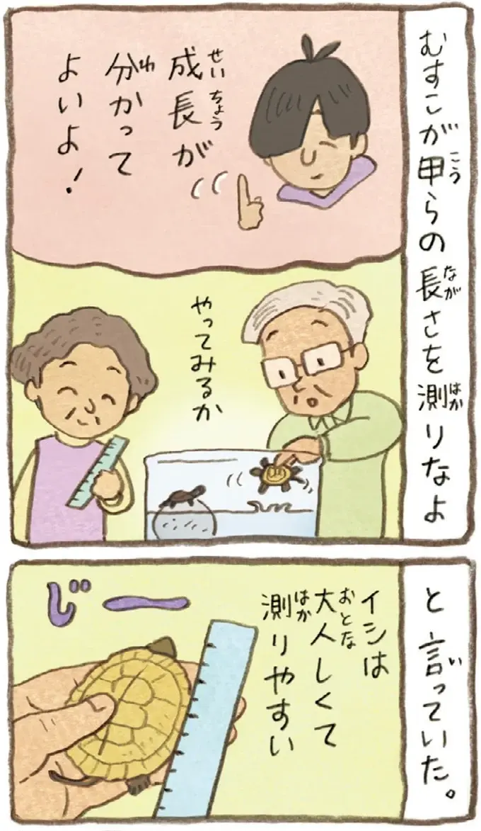 うちのかめは雄なの？雌なの？成長を見守る2人の疑問に息子が教えてくれたのは／おばあちゃんとかめ（3）
