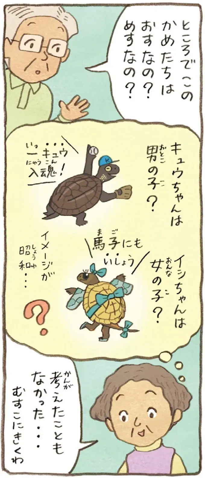 うちのかめは雄なの？雌なの？成長を見守る2人の疑問に息子が教えてくれたのは／おばあちゃんとかめ（6）