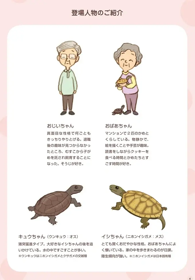 前は気にも留めていなかったのに。かめを飼い出したことで起こった変化／おばあちゃんとかめ（2）