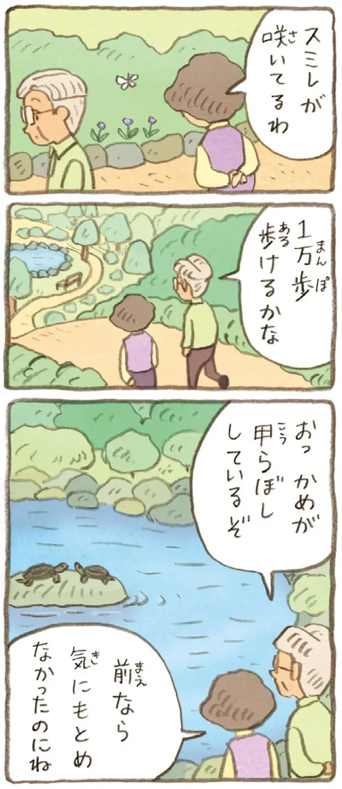 前は気にも留めていなかったのに。かめを飼い出したことで起こった変化／おばあちゃんとかめ（4）