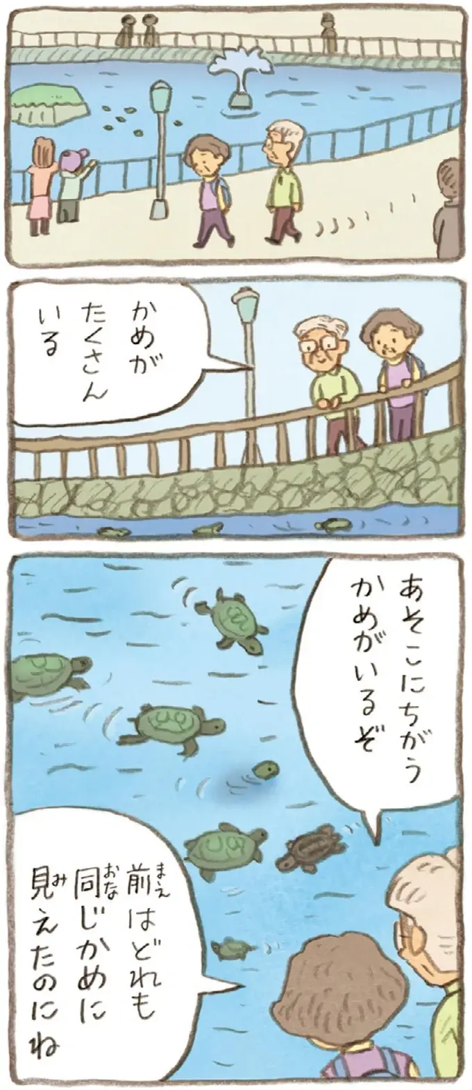 前は気にも留めていなかったのに。かめを飼い出したことで起こった変化／おばあちゃんとかめ（6）
